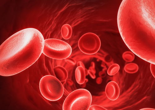 輸液時輸進去的液體都去了哪兒了？